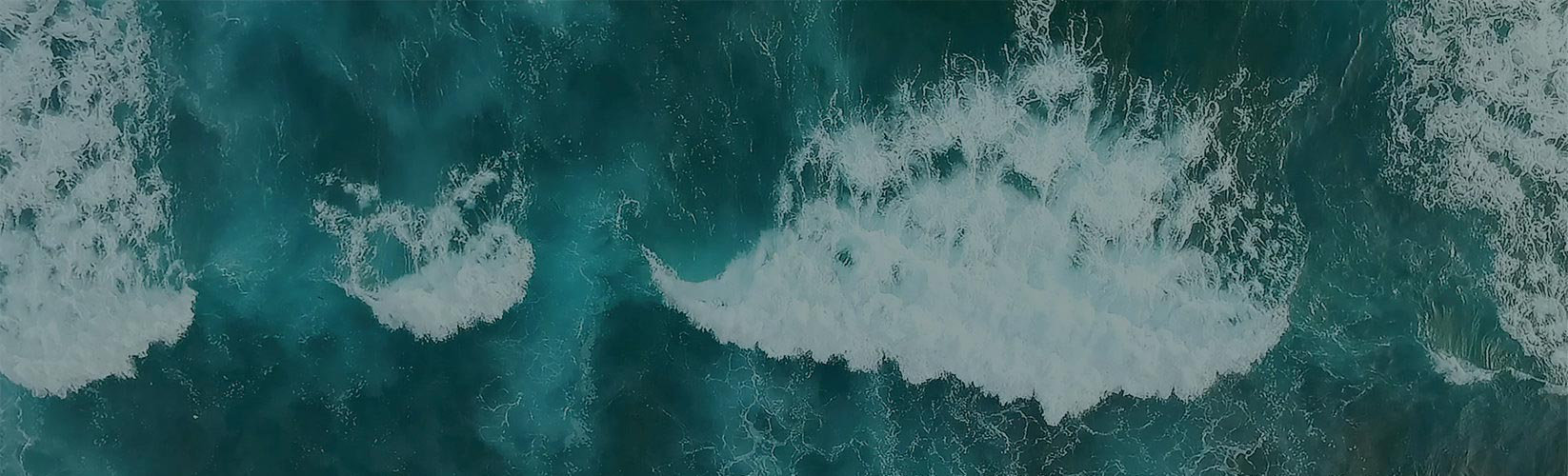 SUNTEM DEDICAȚI MĂRII