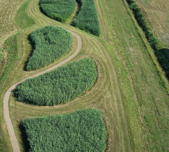Vue aérienne du site de Roz-sur-Couesnon, lieu de l'usine Phytomer