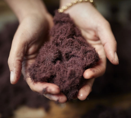 Servane Escoffier, laboratoire Phytomer